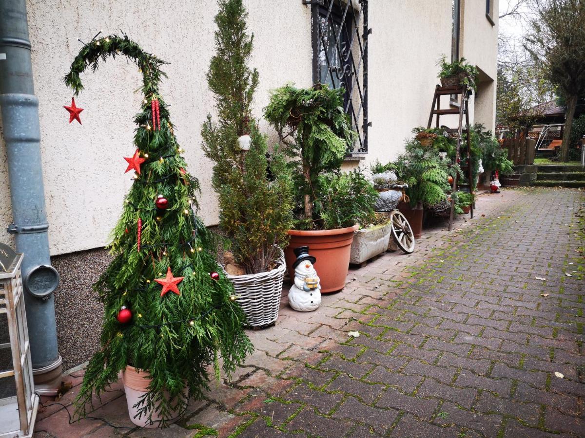 Ferienwohnung Zum Wohlfuehlen 德累斯顿 外观 照片
